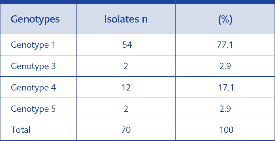 <strong>Table 2.</strong> Genotype distrubution of 70 <i>T. asahii</i> isolates.