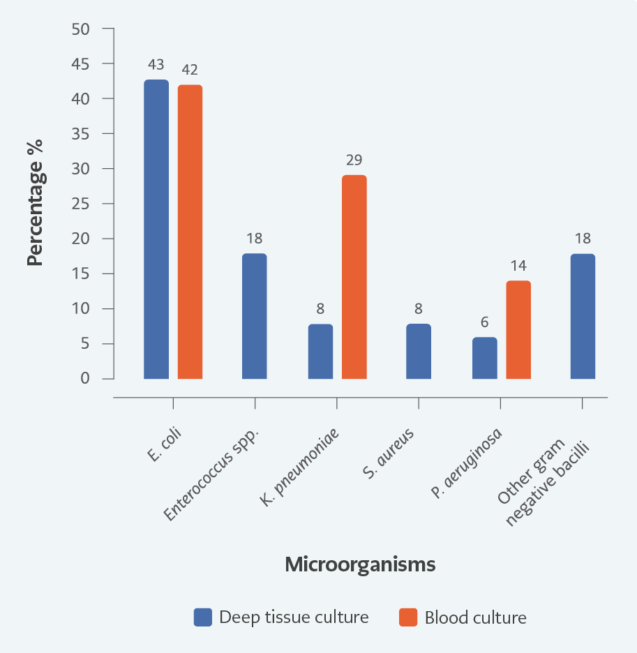 Fournier’s Gangrene: Microbiological Profile and Risk Factors for Mortality: Review of 97 Cases