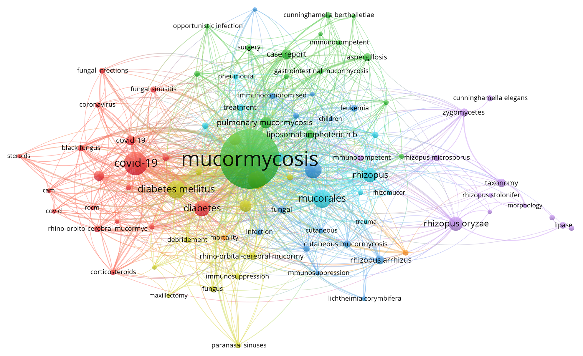Mapping Mucormycosis Research: A 25-Year Bibliometric Analysis of Medical Literature