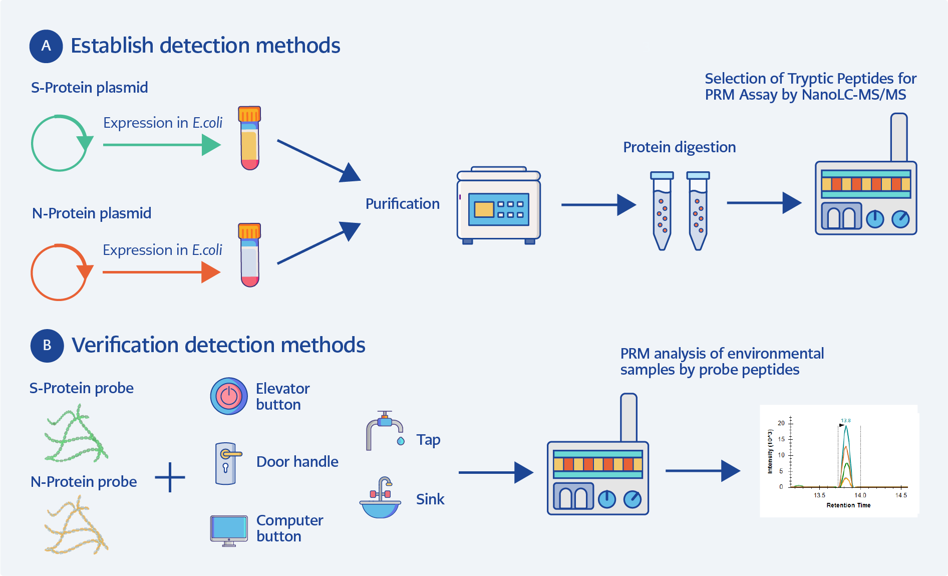 Peptide Probe-Based NanoLC-MS/MS PRM for Ultrasensitive Detection of SARS-CoV-2 Proteins in Environmental Samples