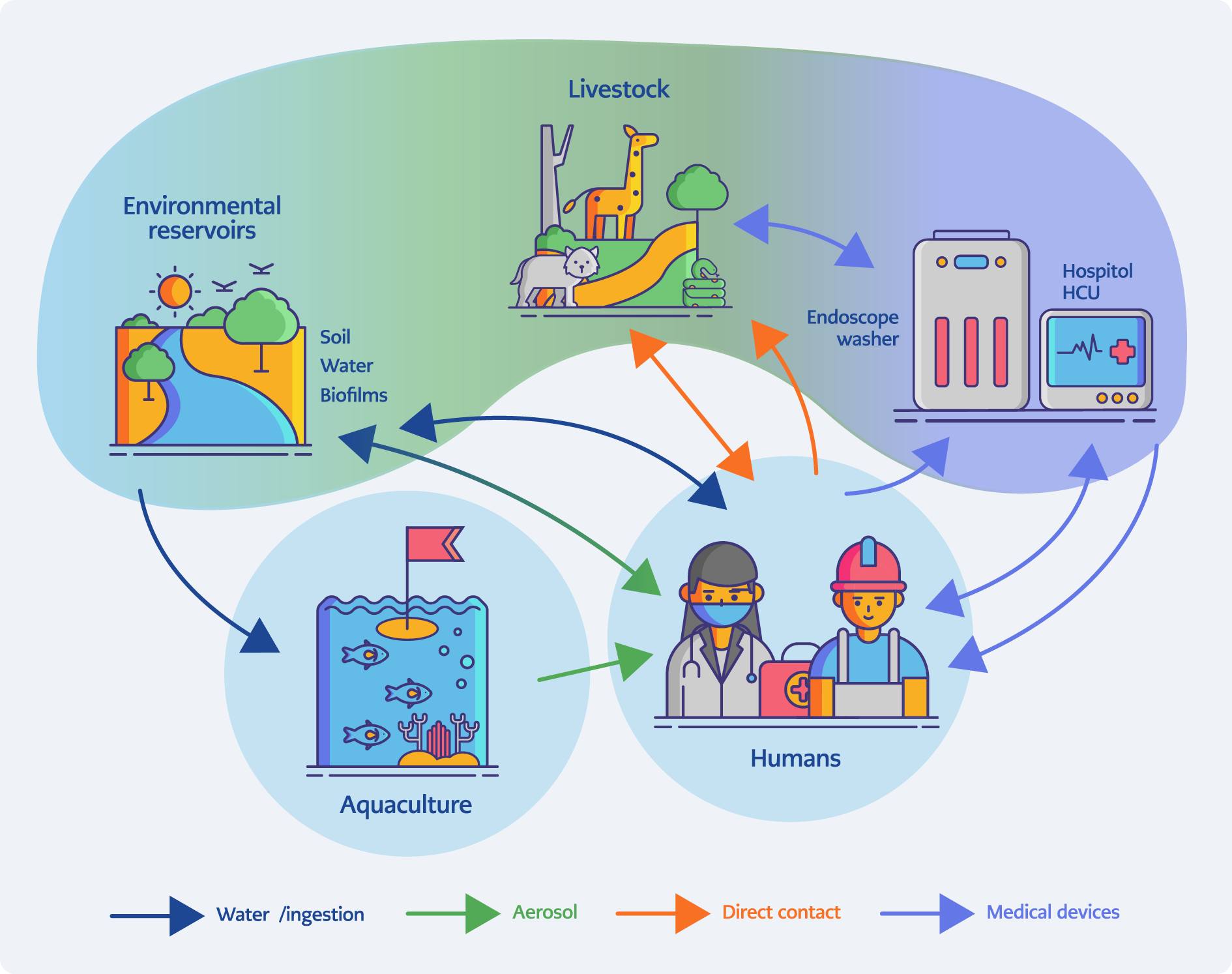 Zoonotic Nontuberculous Mycobacteria (NTM): Transmission Pathways, Laboratory Diagnosis, Detection Methodologies, and One Health Priorities